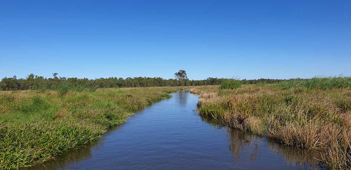 Lachlan River Basin: Dive Deep into the Evolution of Focus